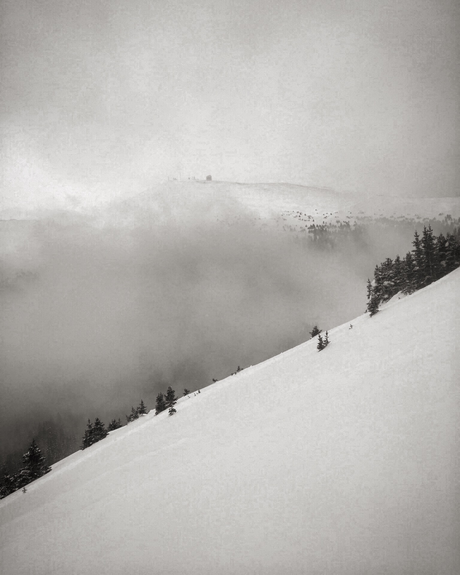 A snow-covered slope rising above a quiet valley of cloud and scattered evergreens.